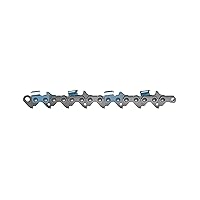 Oregon 21BPX066G Micro-Chisel Saw Chain .325-Inch Pitch .058-Inch Gauge 66 Drive Link Count