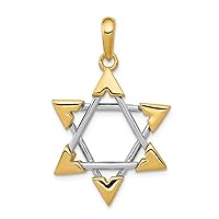 14k Two-tone Gold Star Of David Charm