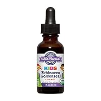 Children's Echinacea Goldenseal Orange Organic Herbal Supplement, 1 Fluid Ounce