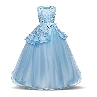 NNJXD Girl Sleeveless Embroidery Princess Pageant Dresses Kids Prom Ball Gown