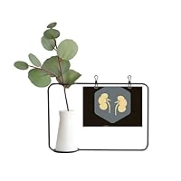 Body Internal Organs Kidney Metal Picture Frame Ceramic Vase Decor