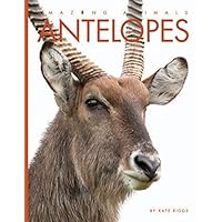 Antelopes (Amazing Animals) Antelopes (Amazing Animals) Paperback Library Binding