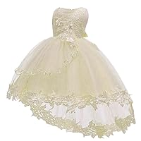Princess Dresses Girls Sleeveless Tulle Prom Dress Lace Appliques Wedding Kids Prom Bow-Knot Ball Gowns Beige