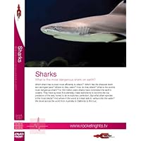 Sharks - Human & Biological Science - What is the most dangerous shark on earth?