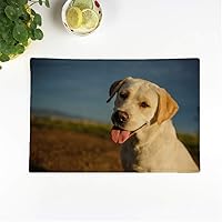 Set of 4 Placemats Animal Yellow Labrador Retriever Dog Portrait Canine Cute Domestic 12.5x17 Inch Non-Slip Washable Place Mats for Dinner Parties Decor Kitchen Table