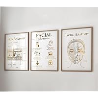 NATVVA Skin Anatomy Wall Decor 3 Pieces Facial Aftercare Prints Posters Wall Art Canvas Painting for Artwork Beauty Salon Med Spa Decor with Inner Frame