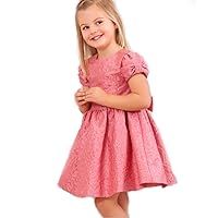 Jacquard Flower Special Occasion Dress (Size 5)