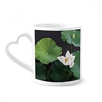 Fresh Lotus Leaf Plant Picture Nature Mug Coffee Ceramic Drinkware Glass Heart Cup
