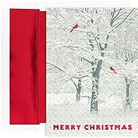 Masterpiece Studios Holiday Collection Premium 15-Count Boxed Christmas Cards with Foil-Lined Envelopes, 7.8