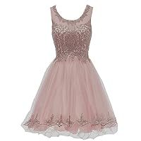 ZHengquan Women's Lace Appliques Tulle Homecoming Dress Crystals A Line Short Prom Dress