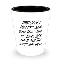 Unique Idea Stepson Shot Glass, Stepson I Didn't Give You The Gift, Gifts For Son, Present From Dad, Ceramic Cup For Stepson