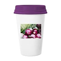 Picture Fresh Temperate Vageable Onion Coffee Mug Glass Pottery Ceramic Cup Lid Gift