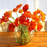 10 PCS High Quaulity Fresh Artificial Mini Real Touch PU/Latex Corn Poppies Decorative Silk Fake Artificial Poppy Flowers for Wedding Holiday Bridal Bouquet Home Party Decor (Orange)