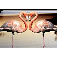 Heart Flamingo - 500 Piece Landscape Jigsaw Puzzle for Adults,Family Gatherings - Holiday Decorations - Creative Toy - Wooden Jigsaw Puzzle