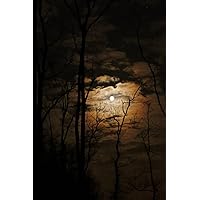 Full Moon in the Night Sky Notebook: Basic blank lined notebook with 120 pages for notes and journaling