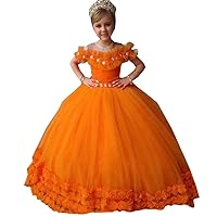 Fancy 3D Floral Flowers Ball Gown for Toddler Little Girls Prom Pageant Dresses with Sleeves