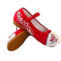 Summer Women Loafers Retro Floral Embroidered Dress Shoes Ladies Round Toe Button Sandal Pumps Party Dancing Shoe Red 4.5