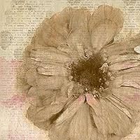 Newspaper Floral 1 Poster Print by Kimberly Allen (24 x 24)