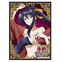 New WVICM Playmat High School DxD Anime Rias Gremory TCG CCG OCG Trading  Card Game Mat No Zones Mouse Pad + Free Bag (MP016-27-no Zones)