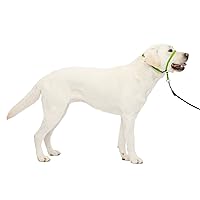 PetSafe Gentle Leader No-Pull Dog Headcollar - The Ultimate Solution to Pulling - Redirects Your Dog's Pulling For Easier Walks - Helps You Regain Control - Large, Apple Green