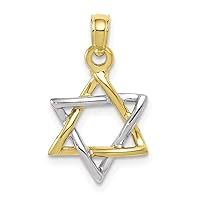 10k Gold 3 d Religious Judaica Star of David High Polish Jewish/White and Yellow Measures 21x12mm Wide Jewelry for Women