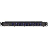Technical Pro PS9U 1U Rack Mount DJ Pro Audio Power Supply w/USB Charging Port