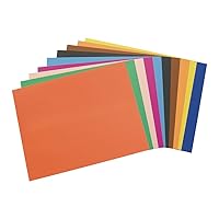 American Paper, Assorted Colors, Poster Board, 22 inches x 28 inches, 100 Sheets, Double Sided, Signs, Charts, Artwork, Kids Crafts, Arts and Crafts, Art Supplies, Art Paper