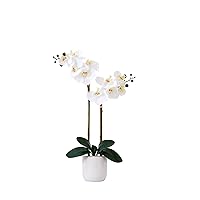 Nearly Natural 26in. Artificial Double Orchid Phalaenopsis with Decorative Vase (Real Touch)