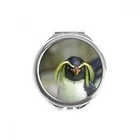 Sea Science Nature Antarctic Penguin Picture Hand Compact Mirror Round Portable Pocket Glass
