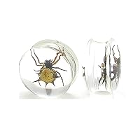 Painful Pleasures Spider - Real Spider Inside Acrylic Plug - 16mm-24mm - Price Per 1-24mm ~ 15/16