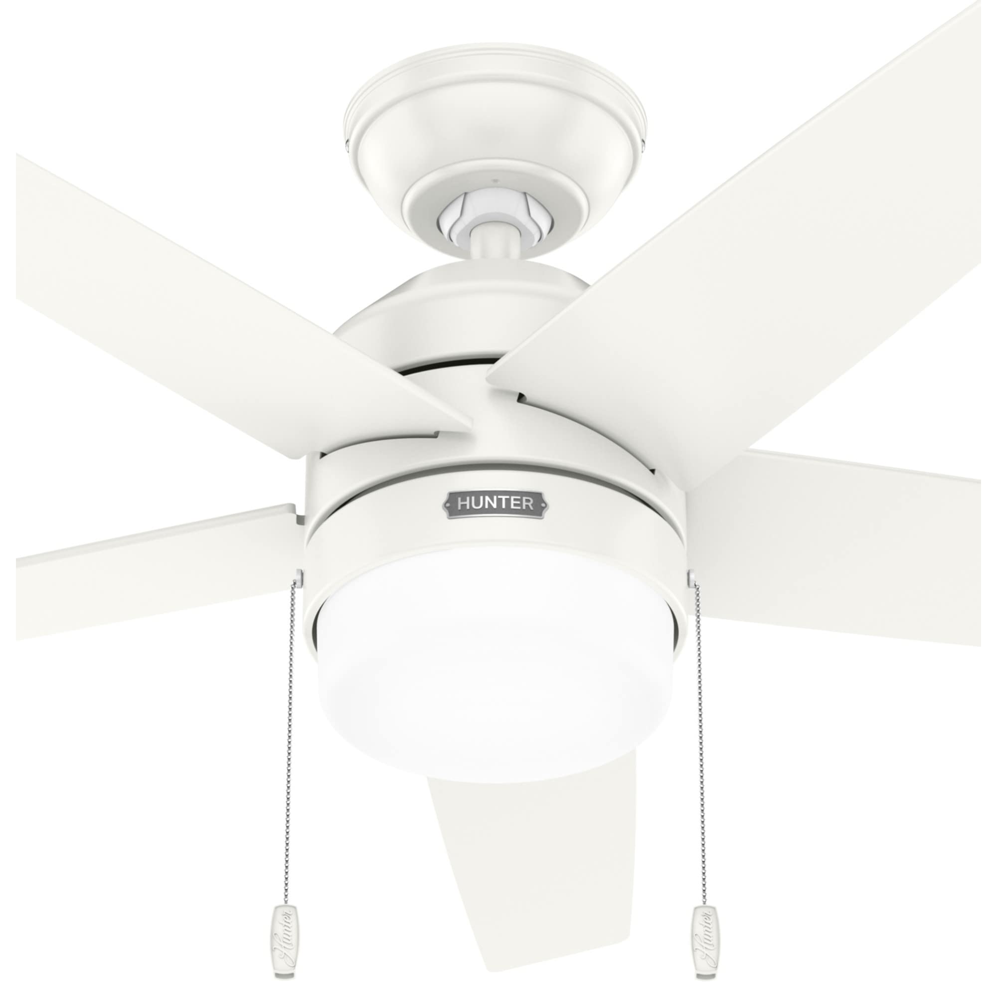 Hunter Fan Company 52494 Bardot Ceiling Fan, Fresh White
