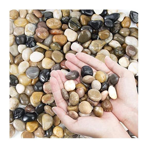 OUPENG Pebbles Polished Gravel Natural Polished Mixed Color Stones Small Decorative River Rock Stones 2 Pounds (32-oz)