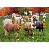 Avanti Alpacas with Napkins Funny/Humorous Thanksgiving Card