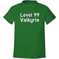 Level 99 Valkyrie - Men's Soft & Comfortable T-Shirt