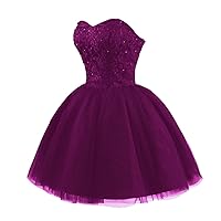 Strapless Quinceanera Dresses Short Lace Tulle Puffy A-Line Prom Cocktail Dresses for Juniors Homecoming Dresses Mauve