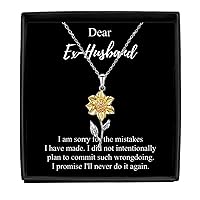 I'm Sorry Ex-husband Necklace Pardon Gift Meaningful Present For The Mistakes I Have Made Quote Pendant Jewelry Sterling Silver With Box