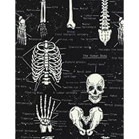 Timeless Treasures Glow in The Dark Skeleton Cotton Fabric Print by Yard D569.18