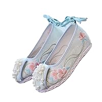 Pearls Fringes Vintage Women Embroidered Hanfu Platform Flat Shoes for Chinese Wedding Costume Dancing