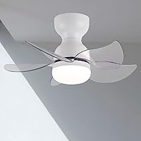DIDER 24'' Flush Mount Ceiling Fan with Lights and Remote Control, Low Profile White Ceiling Fan Indoor, Modern Ceiling Fan with Light