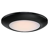 Westinghouse Lighting 6120200 Makira Traditional One-Light, 11 Inch 20 Watt Dimmable LED Indoor/Outdoor Flush Mount Fixture with Color Temperature Selection, Black Finish, Frosted Shade