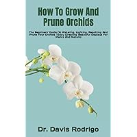 How To Grow And Prune Orchids: The Beginners' Guide On Watering, Lighting, Repotting And Prune Your Orchids Today (Creating Beautiful Displays For Plants And Nature) How To Grow And Prune Orchids: The Beginners' Guide On Watering, Lighting, Repotting And Prune Your Orchids Today (Creating Beautiful Displays For Plants And Nature) Paperback Kindle