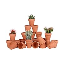36pcs Small Mini Clay Pots, 2.5inch Terra Cotta Pot Clay Ceramic Pottery Planter, Succulent Nursery Pot/Cactus Plant Pot, with Drainage Hole, for Indoor/Outdoor Plants, Crafts, Wedding