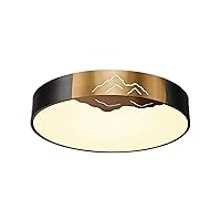 Close To Ceiling Lights Chinese Style Circular Ceiling Light Simple Brass Acrylic LED Ceiling Lamp Flush Mount Close To Ceiling Light Fixtures for Bedroom Living Room Study Entryway Laundry Room ( Siz
