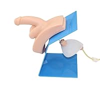 Male Catheterization Model - Simulator Model Genital Wearable Practice Doctors Nurse Catheterization Intuitive Practice