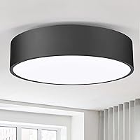 Flush Mount Ceiling Light,11.8 inch 2-Light Close to Ceiling Light Fixture,Matte Black Indoor Lighting Fixtures Ceiling for Bedroom Foyer Kitchen Entryway,Closet and Hallway