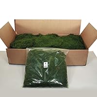 Vickerman Box Green Moss, Sheet - 6.6 Lbs Bulk Case, Preserved