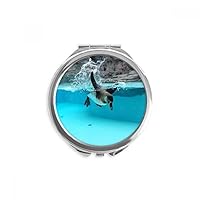 Ocean Antarctic Penguin Science Nature Picture Hand Compact Mirror Round Portable Pocket Glass