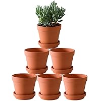 Terra Cotta Pots with Saucer- 6-Pack Large Clay Pots 5.5'' Ceramic Pottery Planter Cactus Flower Succulent Pot with Drainage Hole- Great for Plants,Crafts terra cotta planter