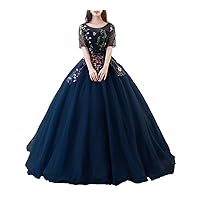 Women's Embroidery Quinceanera Dress Tulle Ball Gown Prom Dresses