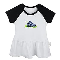 Fruit Grape Pattern Cute Dresses, Newborn Infant Baby Girls Princess Dress, Kids Toddler Novelty Ruffles Cotton Clothes